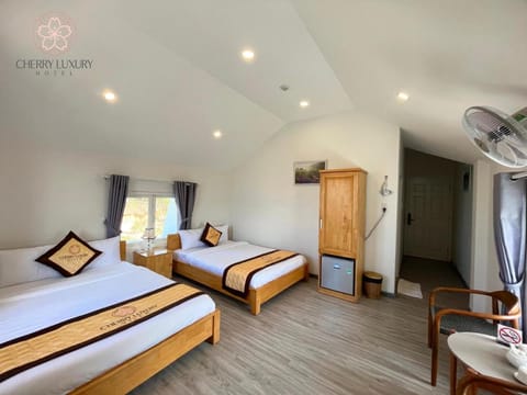 Cherry Luxury Villa Hotel Hotel in Dalat