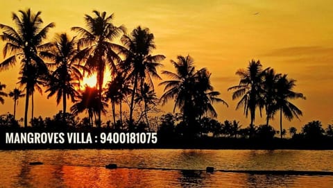 Mangroves Villa Vacation rental in Kochi