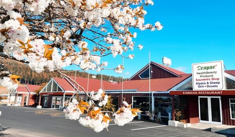 AWA Hotel Vacation rental in Rotorua