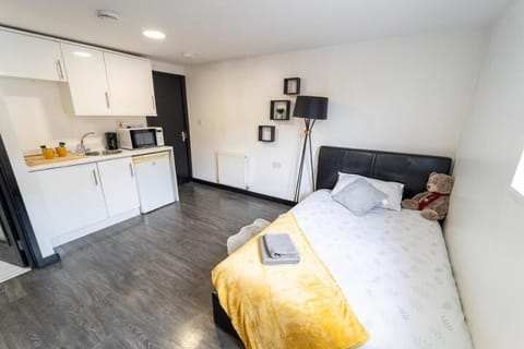 44 North road Studios near QE and UOB Vacation rental in Birmingham