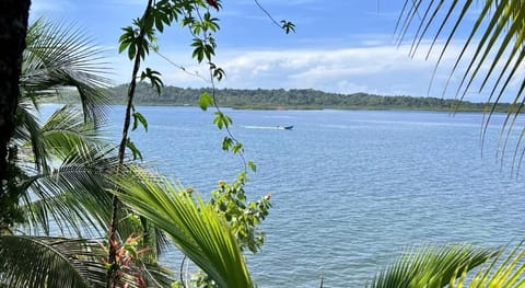 Akwaba Lodge Vacation rental in Bastimentos Island