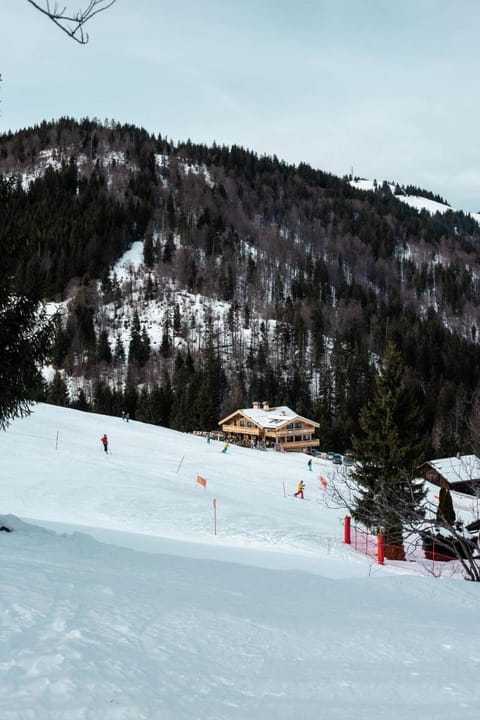 Chalet Sophia Vacation rental in La Clusaz