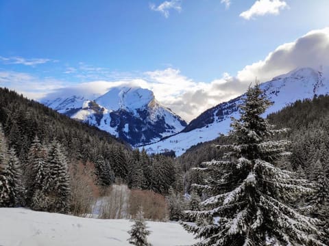 Chalet Sophia Vacation rental in La Clusaz