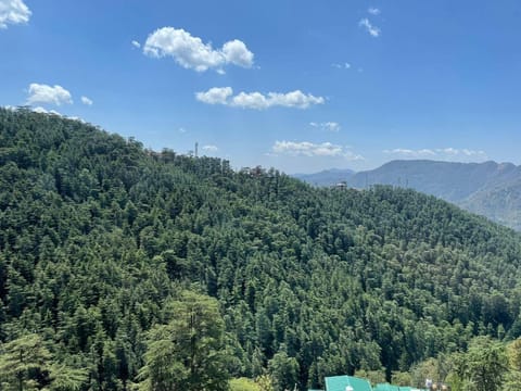 Nice View Homestay Vacation rental in Shimla