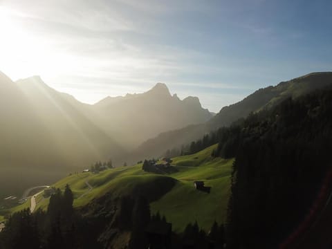 Property view