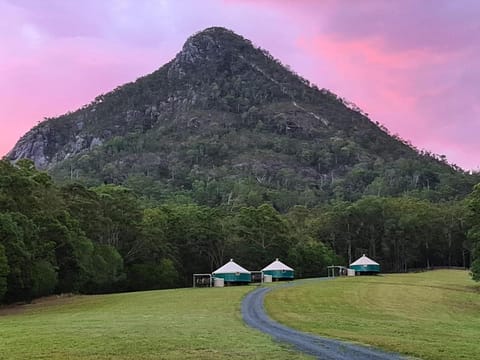 Noosa Eco Retreat Alojamento de férias in Cooran