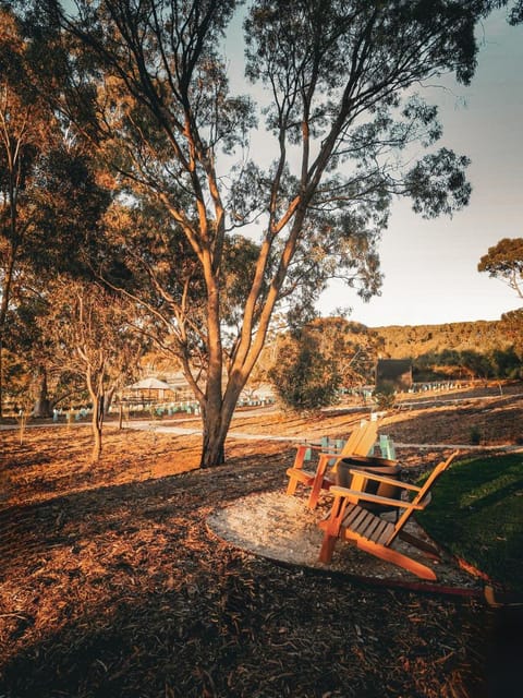 CABN X Seppeltsfield Barossa Alojamento de férias in Marananga