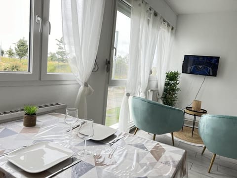 Le Rodin Vacation rental in Calais