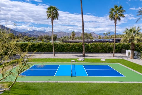 Private pickleball court in the backyard.