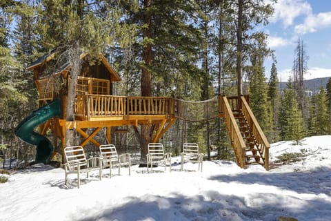 Amazing treehouse on the property!