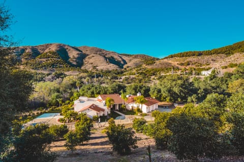 Lush greenery surrounding the property.