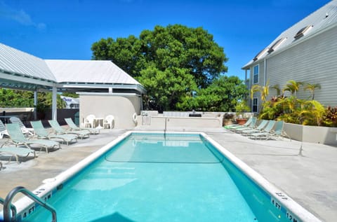 Welcome to Duval Sea Turtle.