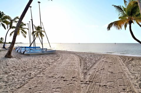 Coral Garden awaits!