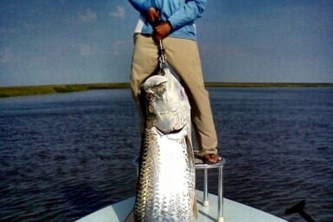 Five Minutes To Isle of Palms Marina, Fishing