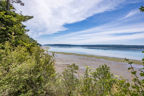 Lost in the mesmerizing ripples of the water's tranquil embrace.