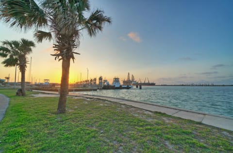 Sunset views by the seaside.