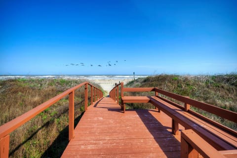 Step onto the beach.