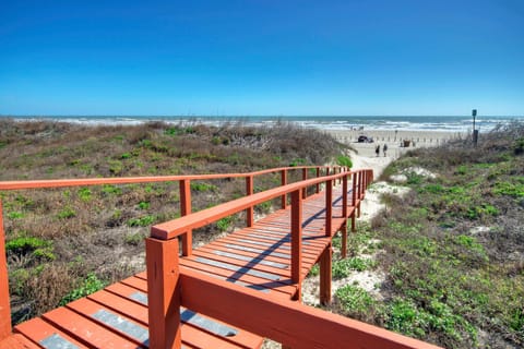 Pathway to shoreline.