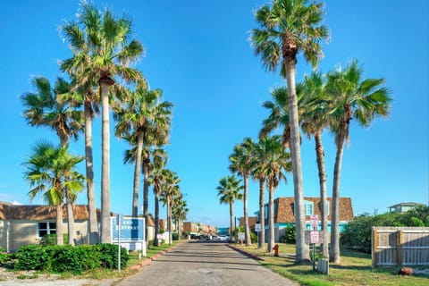 Shady palms at Port Aransas.