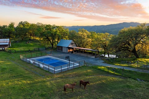 Pickleball and basketball court.