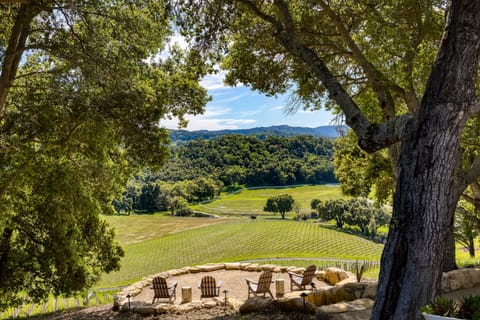 Immerse yourself in the charm of Paso Robles!