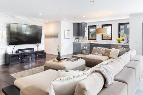 Downstairs living room is equipped with a kitchenette.