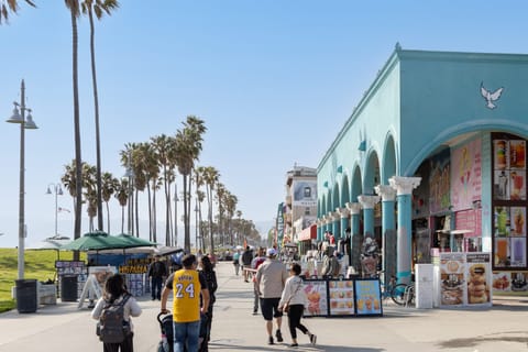 Explore the bustling heart of Venice Beach!