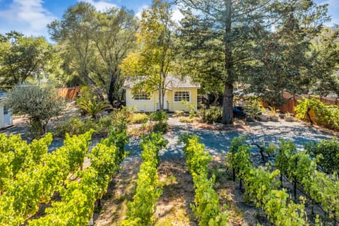 Spacious yard for endless possibilities.