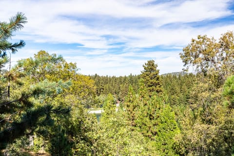 Views from Mystic Ridge.