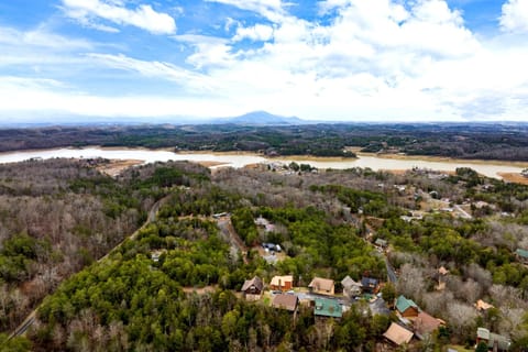 Open layout concept offers seamless transitions from the living area to the dining room/kitchen.
