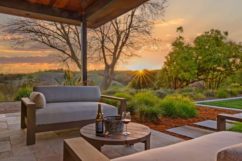 That golden hour glow.