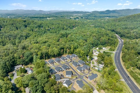 Asheville is calling.