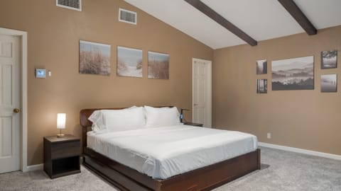 The primary bedroom features a king bed, a trundle bed, a pull-out sofa, a TV, a fireplace, and an en-suite bathroom.