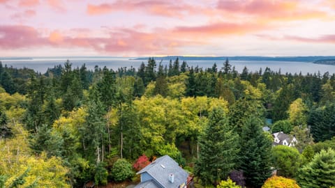 Scenic aerial view of the home among lush greenery.