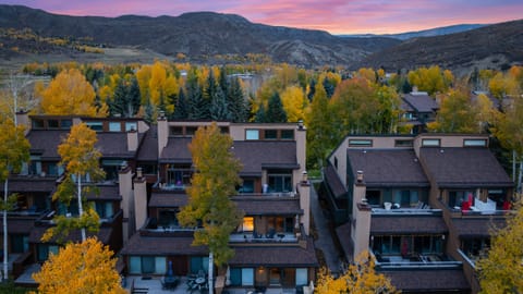 Aerial view of the townhouse complex nestled among autumn trees.