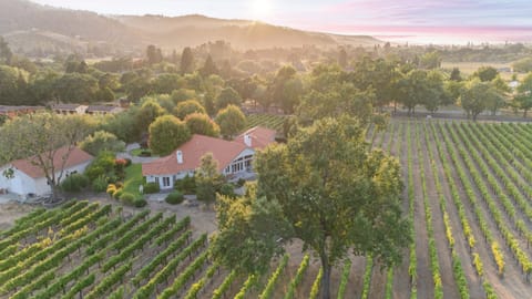 Full aerial of home and vineyard.