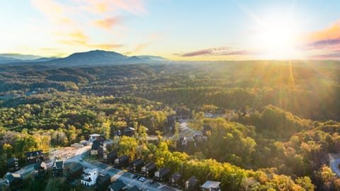 Aerial view of the community.