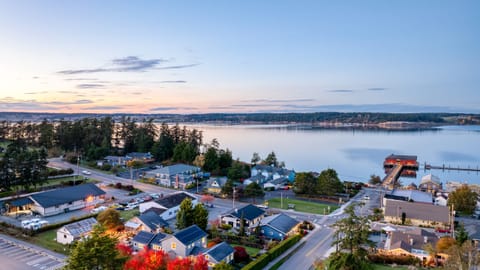 Aerial view of the neighborhood and the waterfront at sunset.
