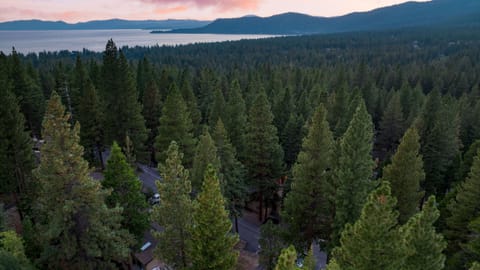 Towering trees create a picturesque setting.