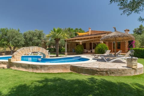 Patio, Garden, Garden view