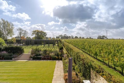 Toppesfield Vineyard, luxury, contemporary villa - 4 adults Villa in Uttlesford