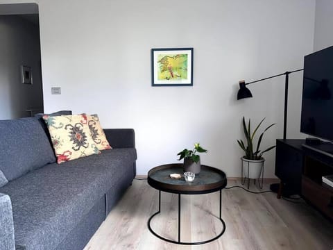 Lovely Apartment with 2-bedrooms and living room for 4 guests, max 6 - Seaside Neighborhood Condo in Reykjavik