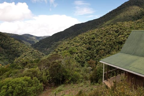 Quetzal Valley Cabins Nature lodge in Cartago Province, Costa Rica