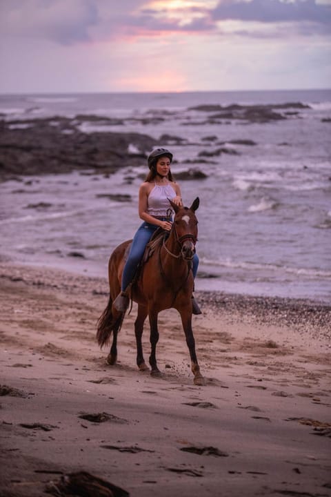 Luxury Vacation Rentals At Hacienda Pinilla Villa in Guanacaste Province