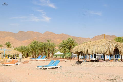 Palm Valley camp Campingplatz /
Wohnmobil-Resort in South Sinai Governorate