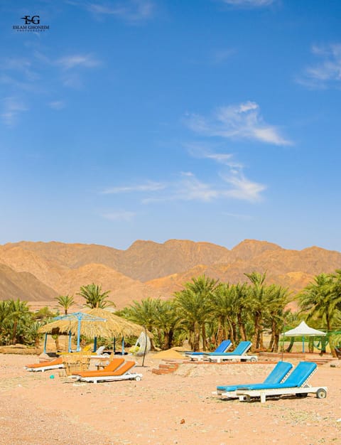 Palm Valley camp Campingplatz /
Wohnmobil-Resort in South Sinai Governorate