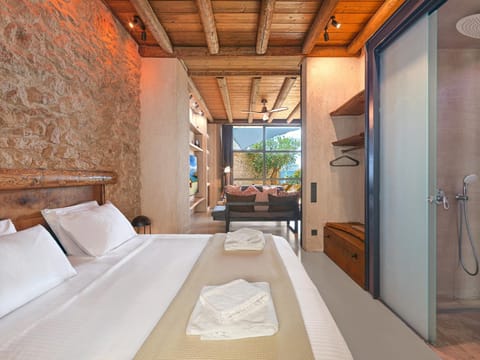 Shower, Bedroom, wardrobe