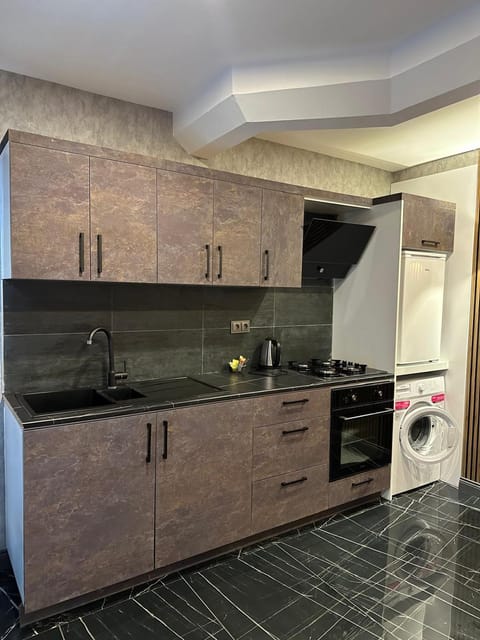 Kitchen or kitchenette, oven, stove