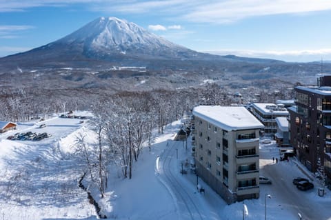 Neighbourhood, Natural landscape, Bird's eye view, Winter