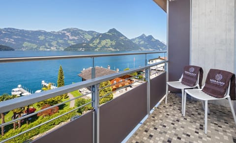Seerausch Swiss Quality Hotel Hotel in Nidwalden